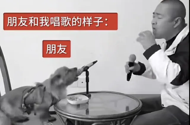 Carte meme Chinese Dog Singing