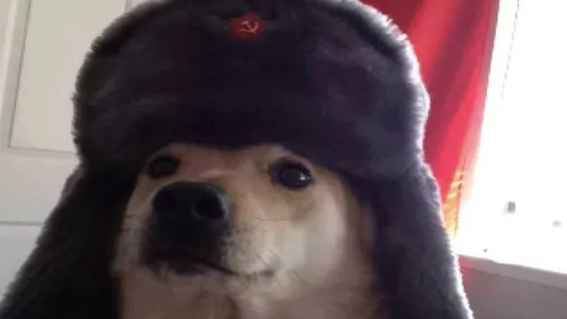 Comrade Doggo meme card