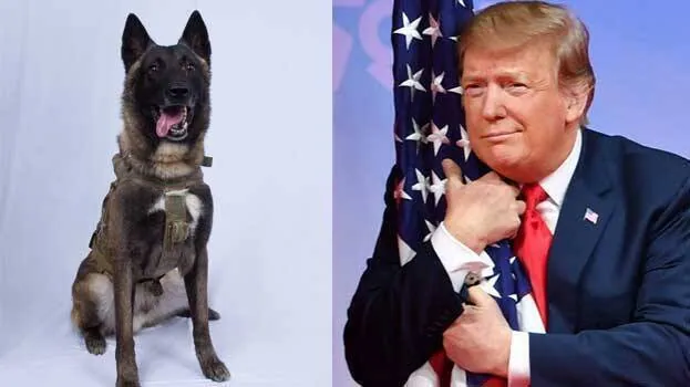 Carte meme Conan the al-Baghdadi Raid Dog