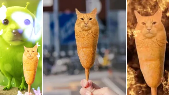Corn Dog Cat meme card