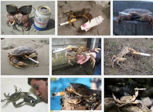 Crabs Smoking Cigarettes meme card
