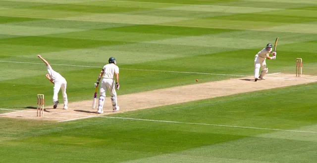 Cricket meme card