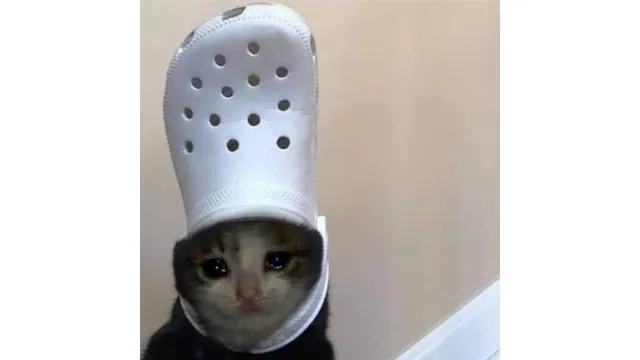 Carte meme croc cat (meme)