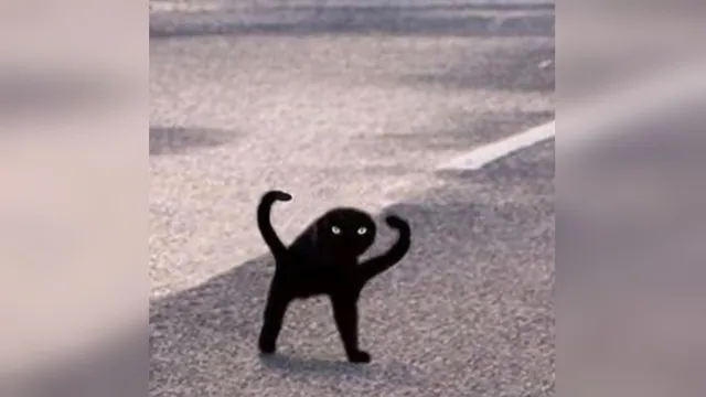 Carte meme Cursed Cat