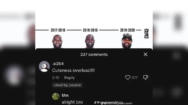 Carte meme "Cuteness Overload!!!" LeBron James TikTok Comment