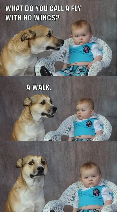 Carte meme Dad Joke Dog