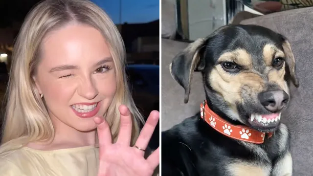 Dame Un Grrr (TikTok) meme card