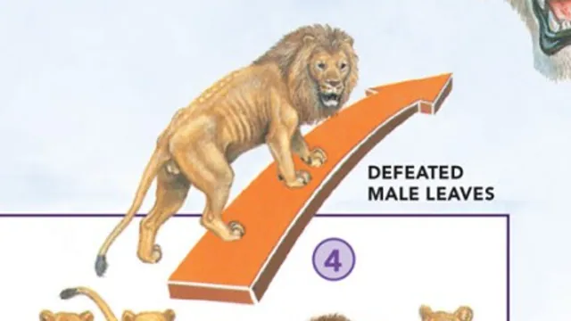 Defeated Male Leaves meme card