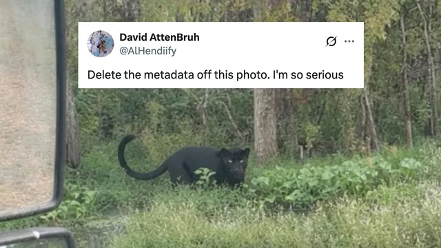 Carte meme Delete The Metadata Off This Photo. I’m So Serious