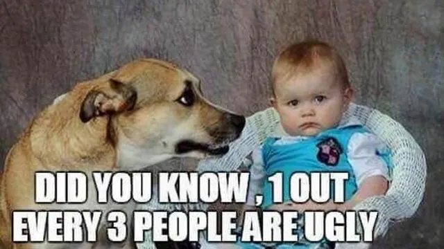 Did You Know One In Three People Are Gay / Ugly? meme card