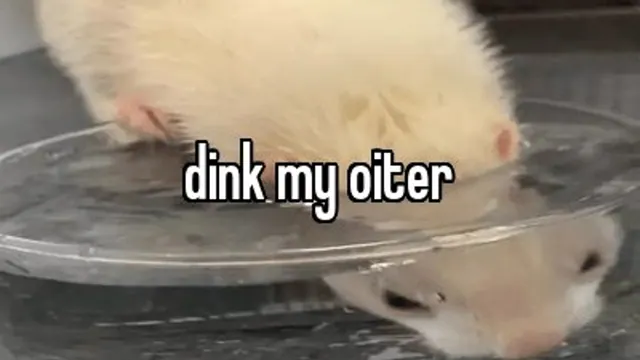 Carte meme Dink My Oiter