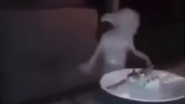 Carte meme Dobby Going Crazy