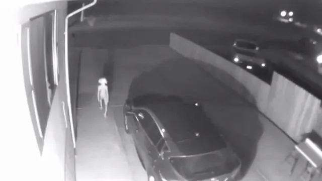 Carte meme Dobby Security Camera Footage