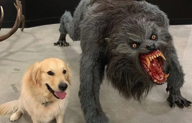 Dog vs. Werewolf meme card