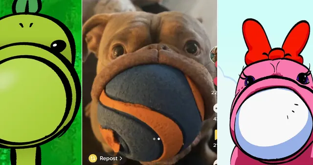 Carte meme Dog With Ball In Mouth / Dog Cannon