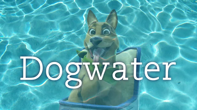 Dogwater meme card