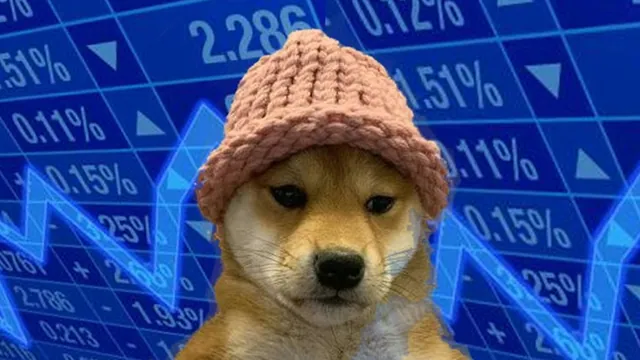 Dogwifhat (Meme Coin) meme card