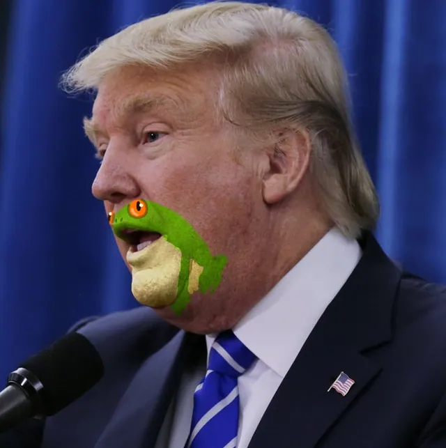 Donald Trump's Frog Chin meme card
