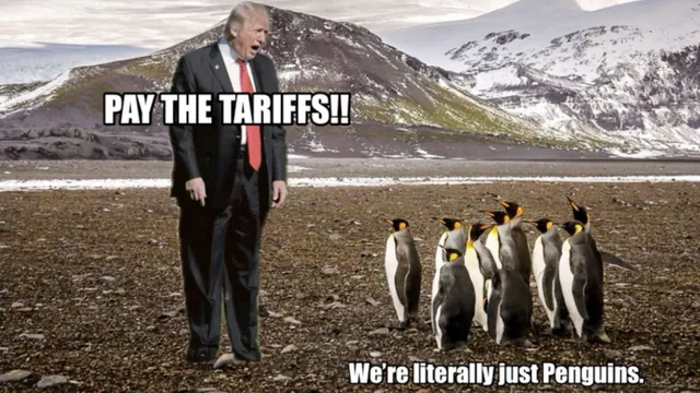 Carte meme Donald Trump’s Penguin Tariffs