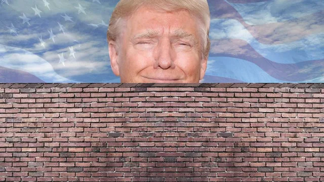 Donald Trump's Wall meme card