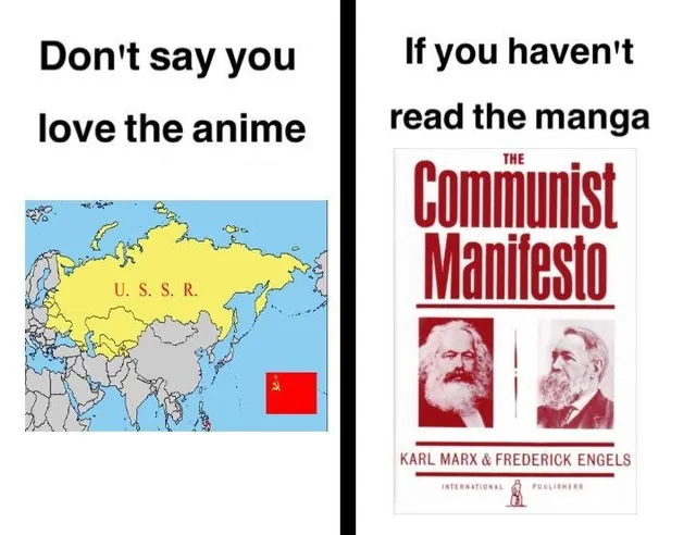 Don't Say You Love the Anime If You Haven't Read the Manga meme card