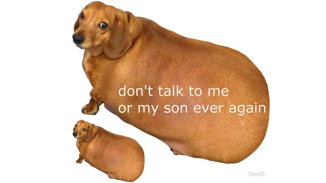 Don't Talk To Me Or My Son Ever Again meme card