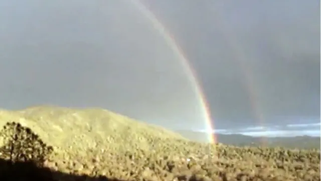 Double Rainbow meme card