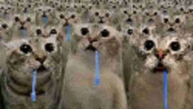 Drooling Cat / Crowd of Drooling Cats meme card