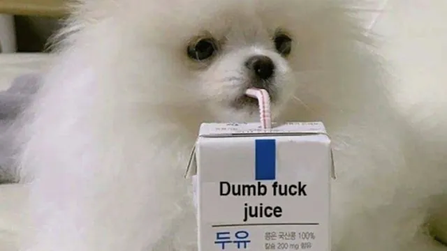 Carte meme Dumb Fuck Juice