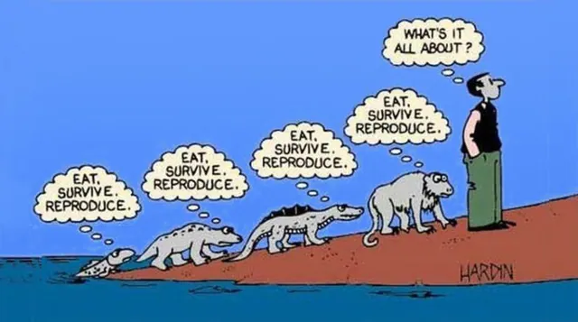 Eat, Survive, Reproduce meme card