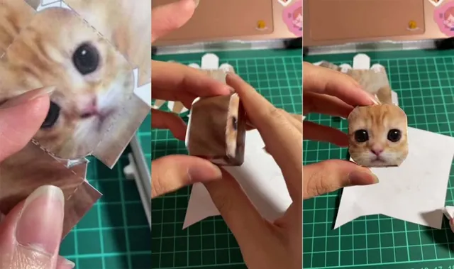 Carte meme El Gato (Son TikTok)