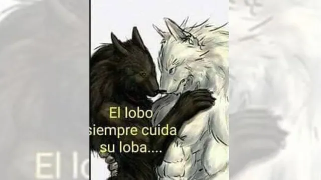 El Lobo Siempre Cuida Su Loba meme card