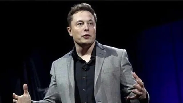 Elon Musk Buys and Deletes meme card