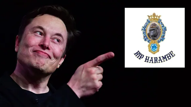 Elon Musk's "RIP Harambe" meme card