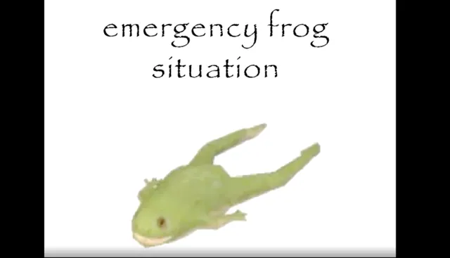 Carte meme Emergency Frog Situation
