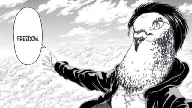 Eren Bird meme card