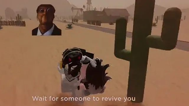 Carte meme Evade (Roblox)