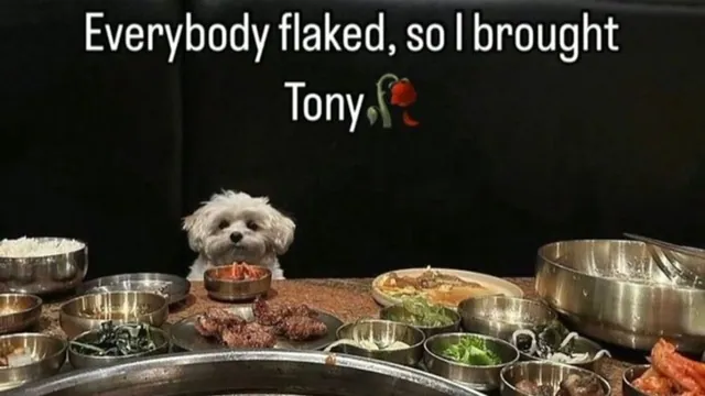 Everybody Flaked So I Brought Tony meme card
