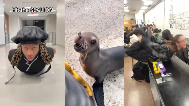 Carte meme Everybody Hit the Sea Lion