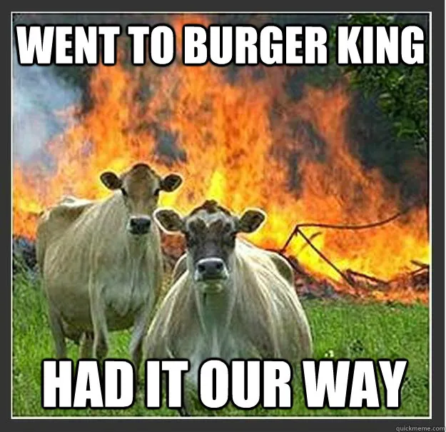 Evil Cows meme card