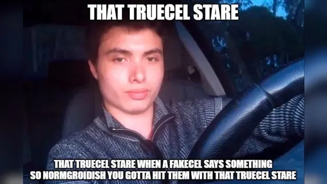 Carte meme Fakecel and Truecel