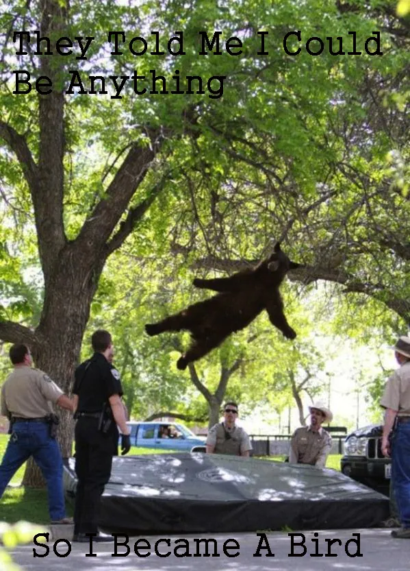 Carte meme Falling Bear
