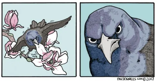 Carte meme False Knees