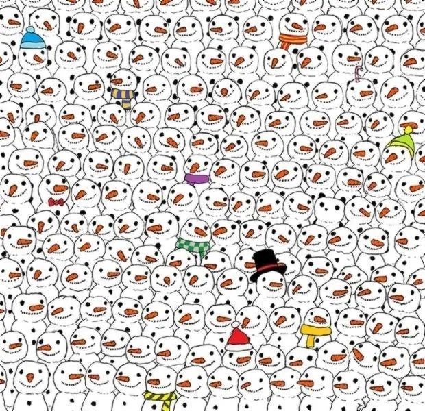 Carte meme Find The Panda