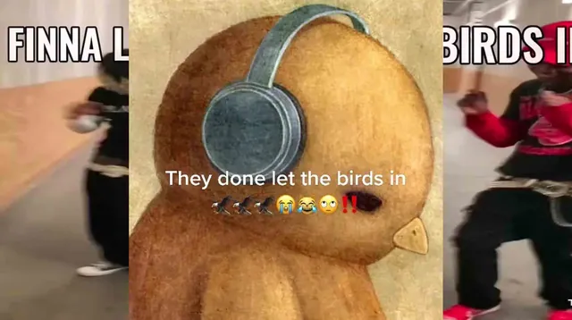 Carte meme Finna Let The Birds In