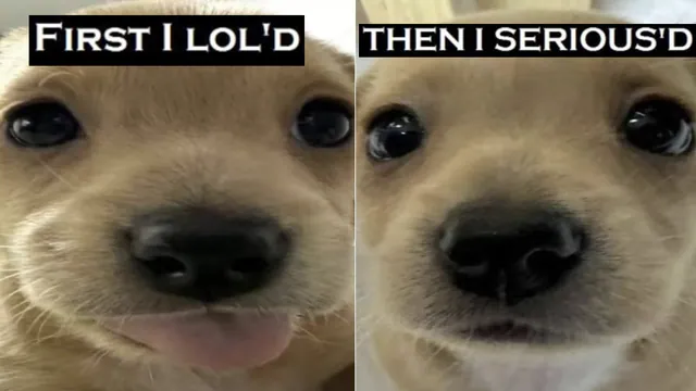 First I Loled, Then I Serioused meme card