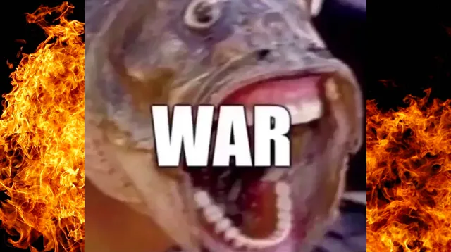 Carte meme Fish Screaming « WAR »