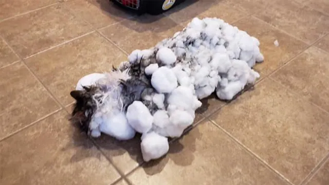 Fluffy the Frozen Cat meme card