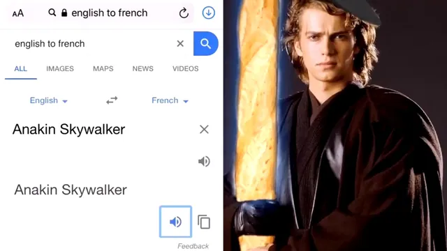 French Google Translate meme card