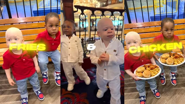 Carte meme Fries and Chicken Kids / Oshone and Oshoze Fries and Chicken
